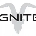 ОЭСДН IGNITE